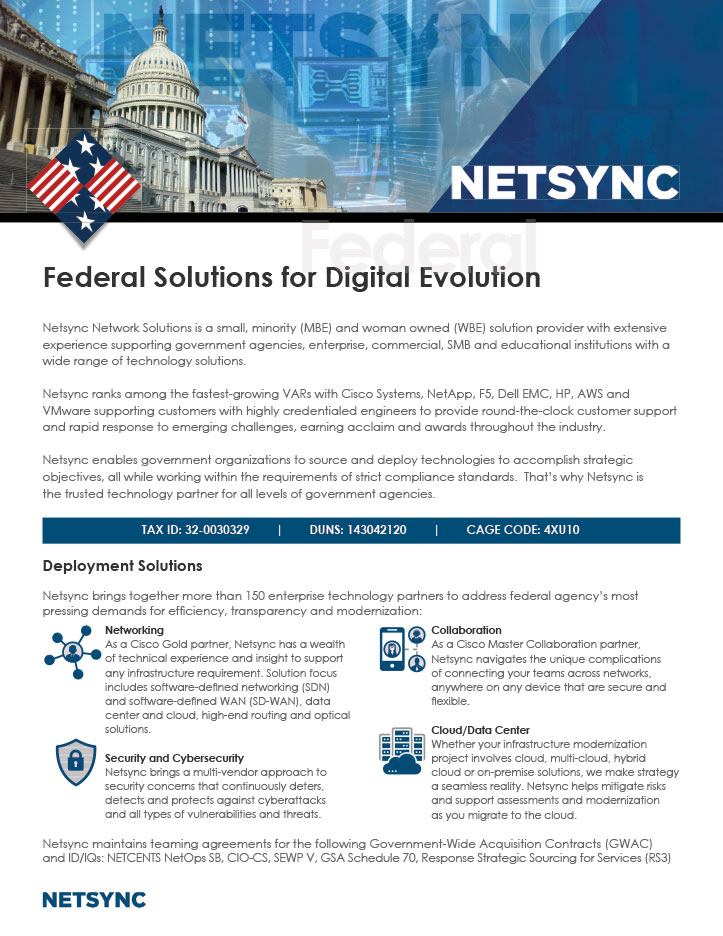 Netsync Federal Practice Collateral