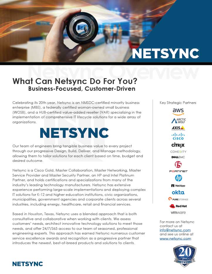 Netsync Overview Summary