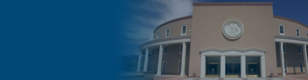 Government Contracts: New Mexico